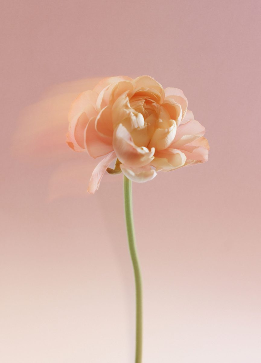 Campaign prop styling – Personal
