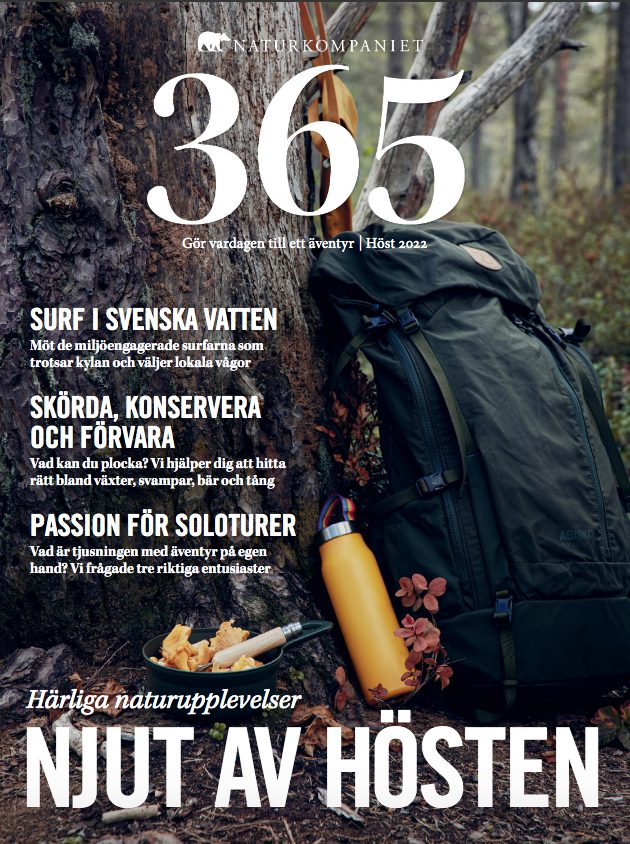 Outdoor prop styling – 365