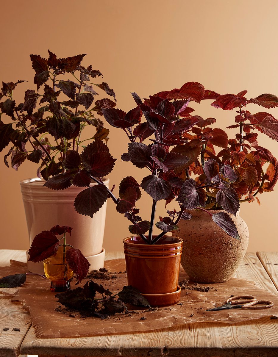 Still Life / Interior prop styling – Åhléns